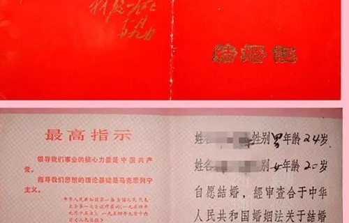 短剧时光录，夫人，你忘了我们的领证大事（第83集）