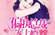 短剧偏执总裁的追妻路——93集的深情与执着