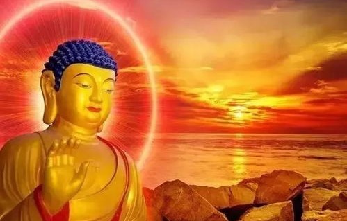 短剧，善恶终有报（共15集）