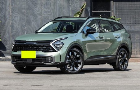 起亚狮铂拓界(起亚狮铂拓界怎么样值得买吗)