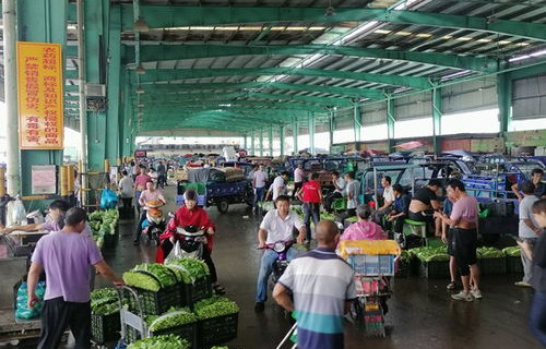 县域消费市场供销两旺，活力四溢的农村市场新动向