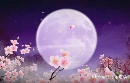 短剧十五的月亮十六圆——月圆之夜，人生百态