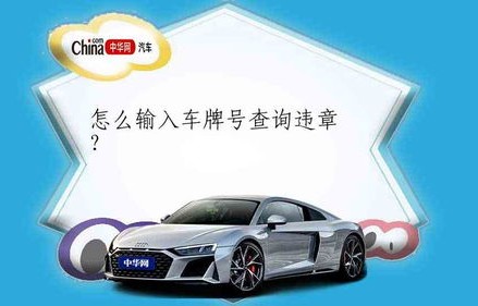 直接输车号查违章