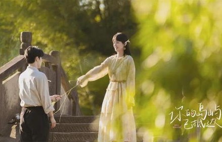 短剧我成了失忆霸总的心尖宠——百集情感之旅