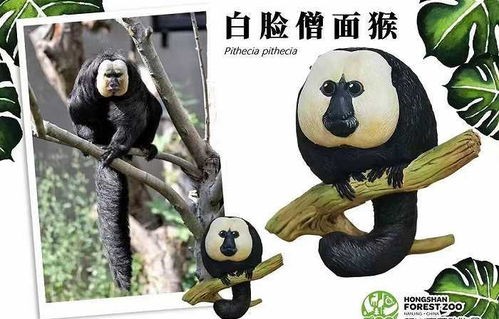 红山动物园的厕所标识，创意之下的独特魅力