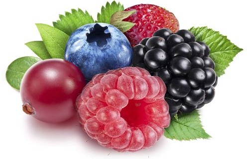 黑莓是桑葚吗(黑莓和桑葚是一种水果吗)