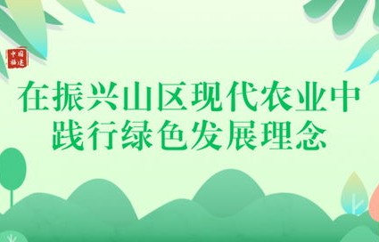 山取颜料师遭遇消费限制，传统工艺与现代约束的碰撞