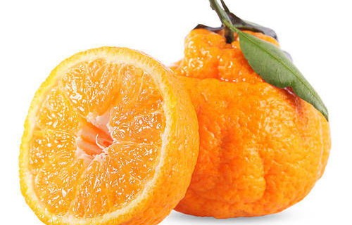 原来丑橘非橘之谜