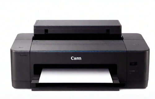 佳能2900+打印机（佳能2900打印机驱动怎么安装）