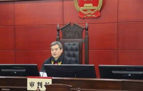 苏增添涉嫌受贿案，正义的审判与公众的期待