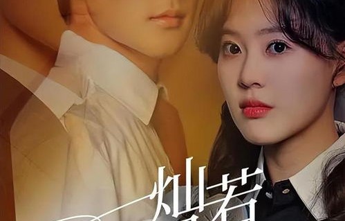 短剧中的闪婚传奇，总裁与小娇妻的浪漫邂逅