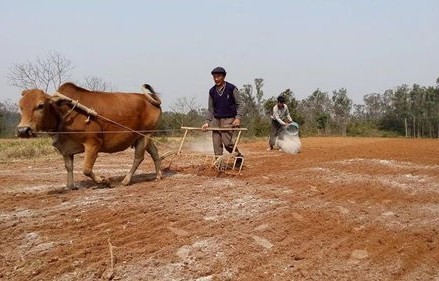湖南某地放开秸秆焚烧？当地政府权威回应