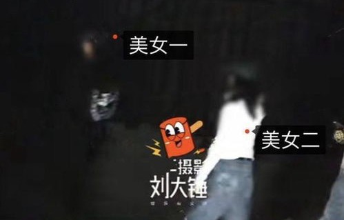 林更新晒逛吃视频引爆粉丝热议，粉丝催其进组工作