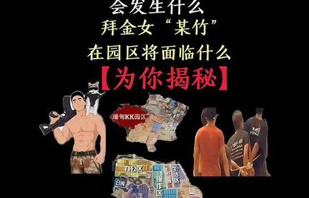 短剧缅北反诈终极之战——81集的深度剖析与思考