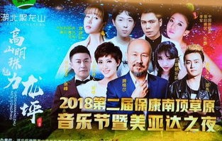 短剧盖世龙少的魅力与影响