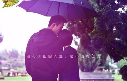 短剧许她一世繁华——繁华背后的情感与人生