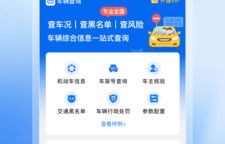 一键查车主姓名车辆信息(一键查车主姓名车辆信息app)