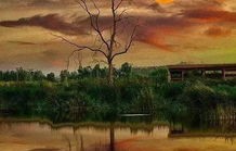 品味短剧最美不过夕阳红——三十六集的岁月与情感交织