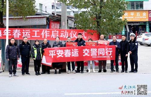 春运高峰，多举措保障人员流动安全与顺畅