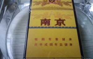 短剧九五至尊的深度解析