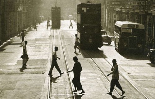 短剧火坑的魅力与影响