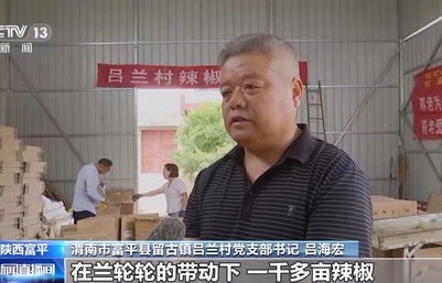 山东临沂一村庄年售30万只狗，产业背后的故事与思考