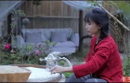 李子柒再次惊艳，美食与文化的双重魅力
