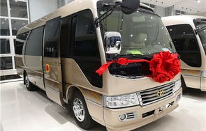 丰田考斯特商务车12座价格表(丰田考斯特12座 价格)