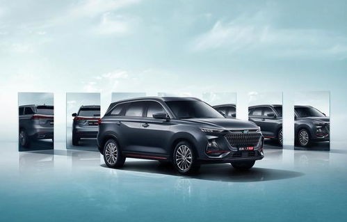 与1400斤小牛相伴的00后女生，日夜的成长与陪伴