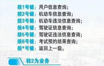 12345交通违章查询(交通违章查询12123服务电话)