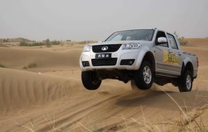 为什么不建议买皮卡(为什么很少人买皮卡)