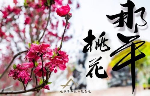 金璐莹主演短剧桃花映江山——花朝之韵，共赏60集视觉盛宴