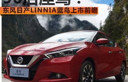 东风日产蓝鸟价格(东风日产蓝鸟2020款图片及报价车内配置)