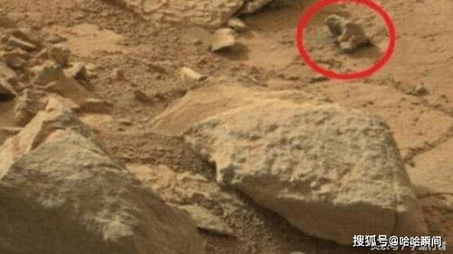 台湾附近海域惊现神秘物体，探索与猜测