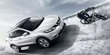 东风日产尼桑汽车(东风日产尼桑汽车suv有哪几款)