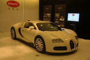 最贵的布加迪48亿(最贵的布加迪有多贵) 最贵的布加迪48亿(最贵的布加迪有多贵)