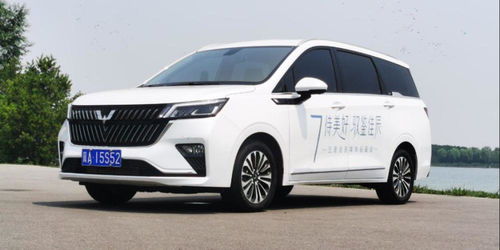 五菱商务车七座最新款(五菱商务车七座最新款自动挡图片)