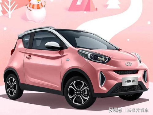 奇瑞小蚂蚁新能源汽车2023款价格(宏光五菱mini电动车最低价多少钱)