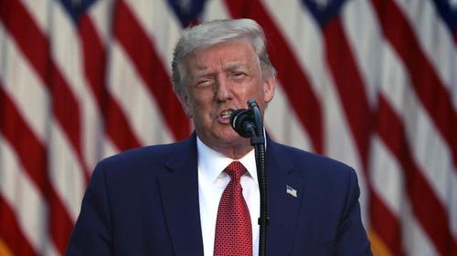 哈里斯致电特朗普，一次政治风云的转折与和平交接