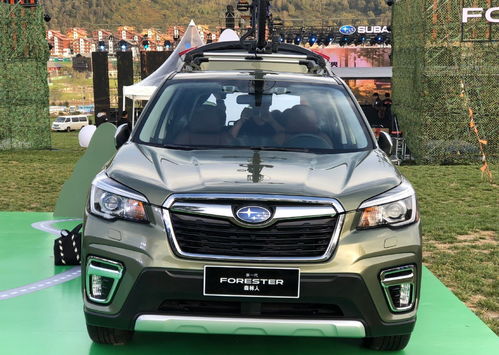 斯巴鲁森林人价格(斯巴鲁森林人价格为什么上调)