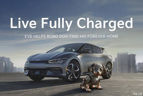 2020汽车大全(2022汽车大全)