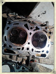 新款斯巴鲁森林人(新款斯巴鲁森林人烧机油吗)