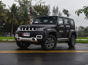 北京bj40图片及价格(北京bj40图片新款)