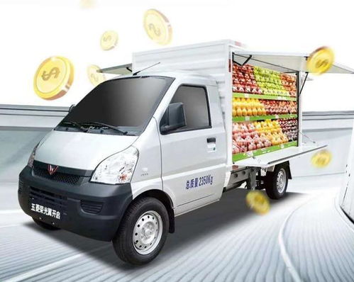 五菱最耐用的是哪一款(五菱汽车耐用性)