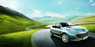 中国汽车网(中国汽车网官网查询)