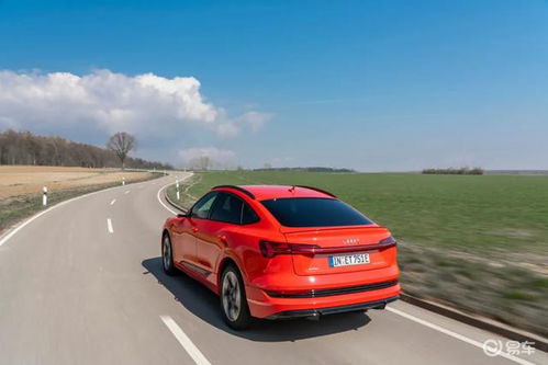 quattro(quattro代表什么) quattro(quattro代表什么)