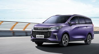 上汽大通g50(上汽大通g50油耗)