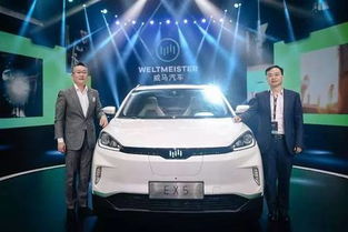 威马汽车(威马汽车标志)