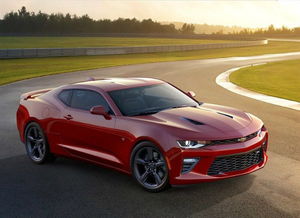 雪佛兰大黄蜂多少钱(雪佛兰大黄蜂多少钱?) 雪佛兰大黄蜂多少钱(雪佛兰大黄蜂多少钱?)