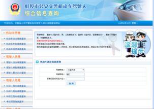 违章车辆查询官网(违章车辆查询官网电话)